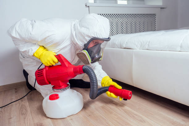 Insect Control in Mcmillin, WA